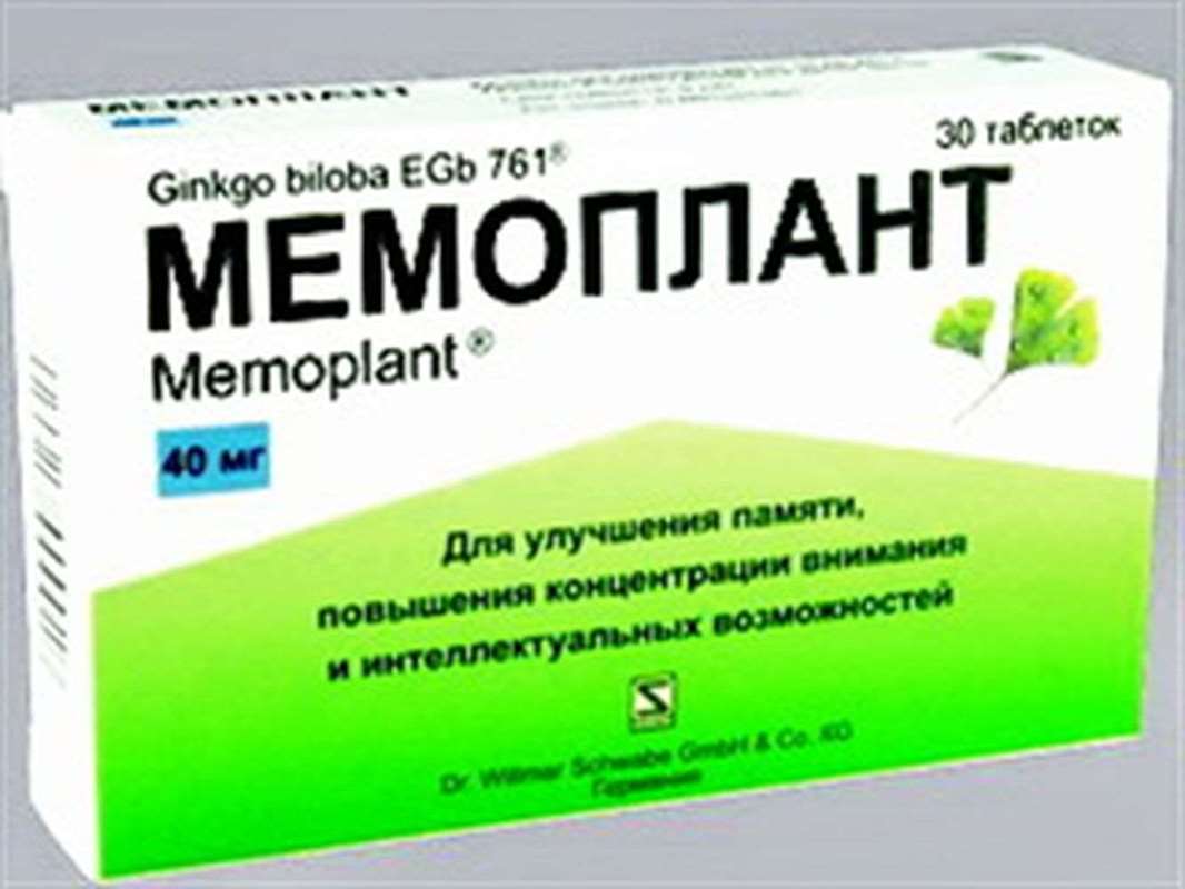 Memoplant 40mg 30 pills buy cerebral circulation online